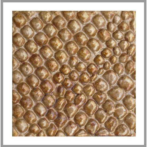 1 Fliese - Wand-Design - Design Fliesen - Ice Caramel Cobra - Wall-Design -